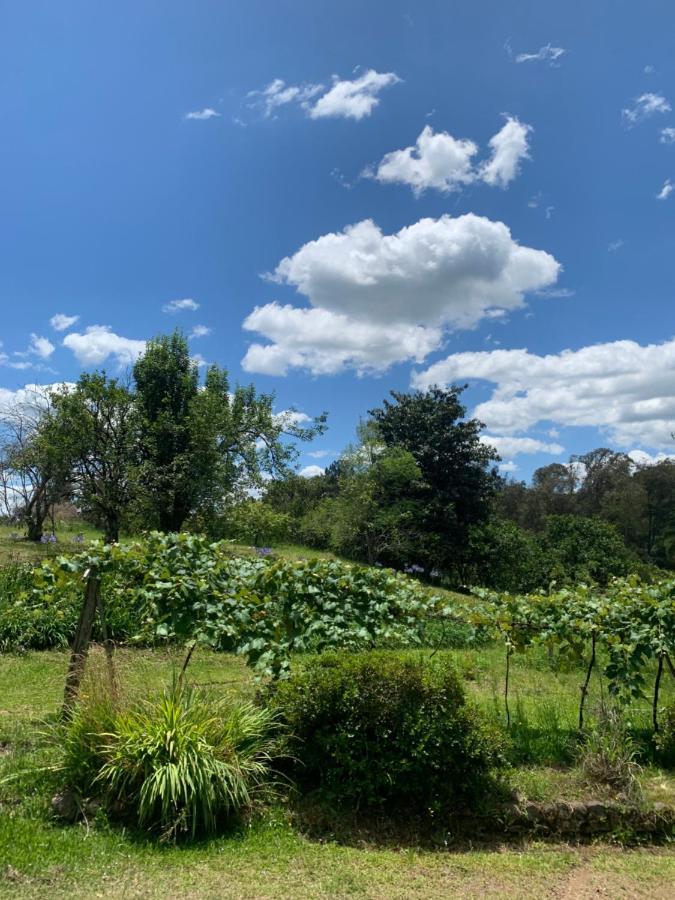 Sitio Vale Dos Vinhedos Βίλα Bento Gonçalves Εξωτερικό φωτογραφία
